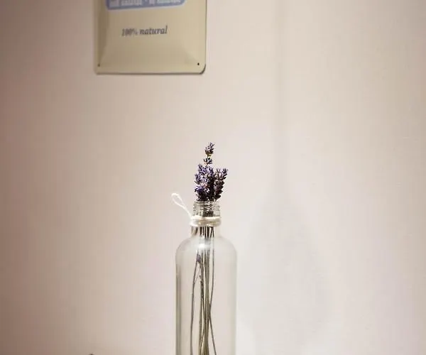 Ivanita Apartament *